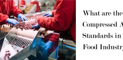 Food Compressed Air