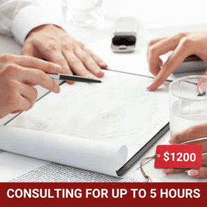 Nex Flow Consulting Services
