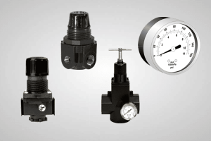 regulator overview