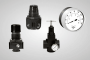 regulator overview